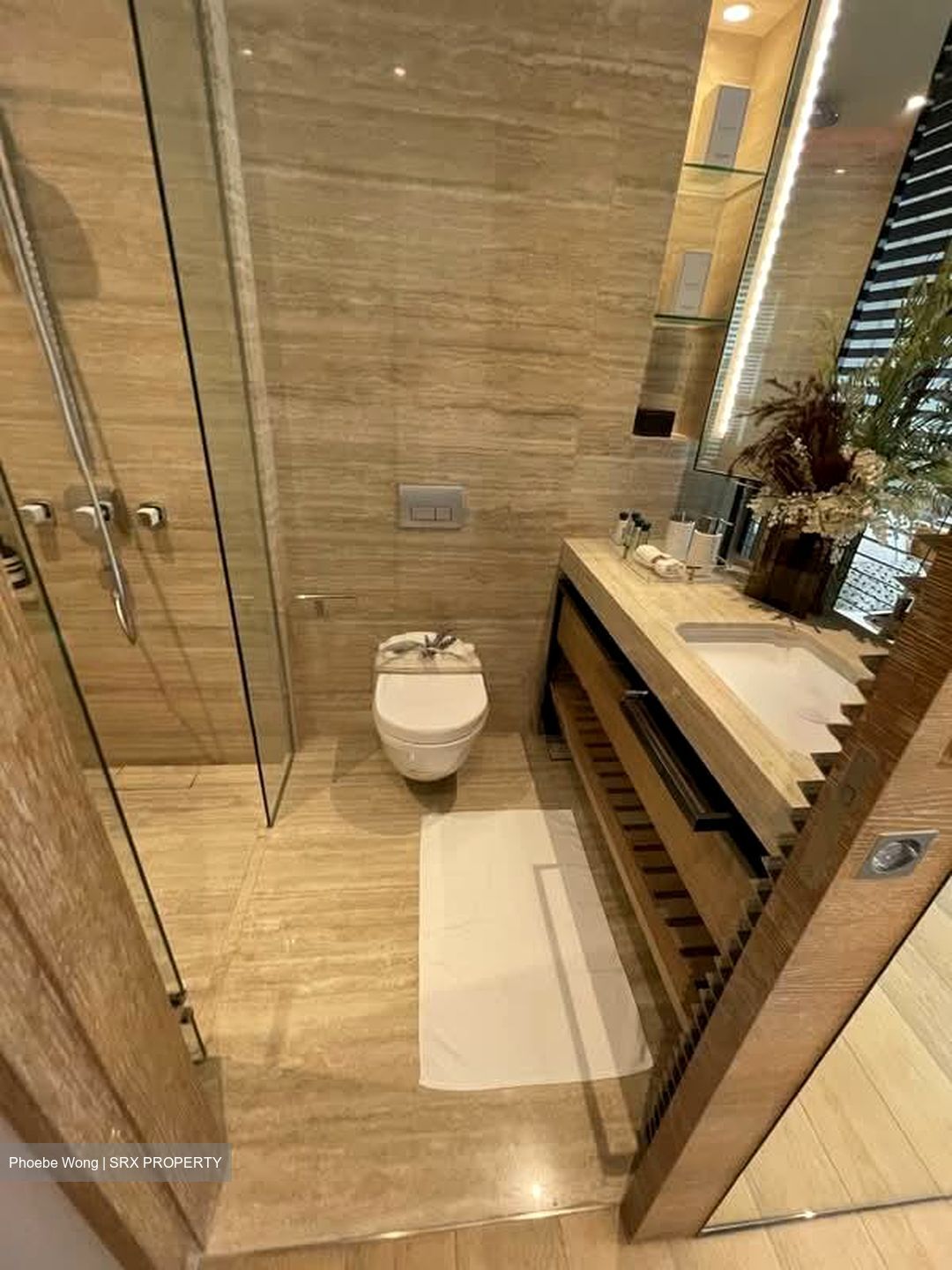 Stamford Road (D6), Condominium #538500071
